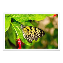 写真の拡大 フォトプリント           