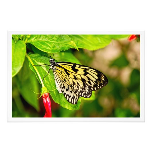 写真の拡大 フォトプリント            (正面)