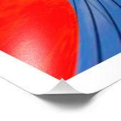 写真の拡大 フォトプリント            (角)