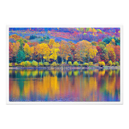 写真の拡大 フォトプリント           