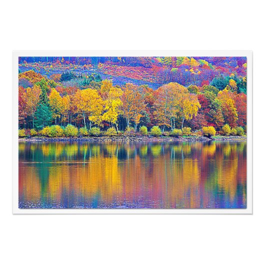 写真の拡大 フォトプリント            (正面)