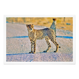 写真の拡大 フォトプリント           