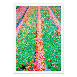 写真の拡大 フォトプリント