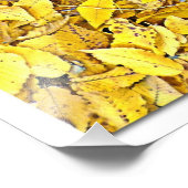 写真の拡大 フォトプリント            (角)