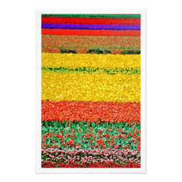 写真の拡大 フォトプリント