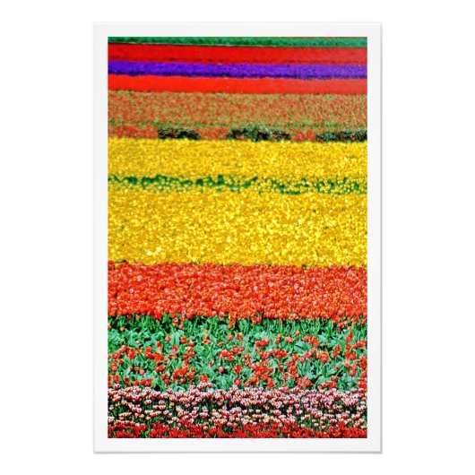 写真の拡大 フォトプリント            (正面)