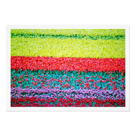 写真の拡大 フォトプリント