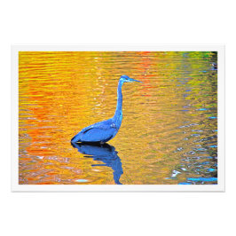 写真の拡大 フォトプリント           