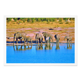 写真の拡大 フォトプリント           