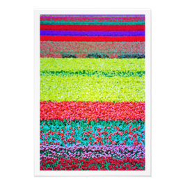 写真の拡大 フォトプリント