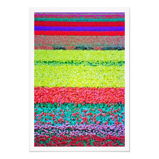 写真の拡大 フォトプリント            (正面)