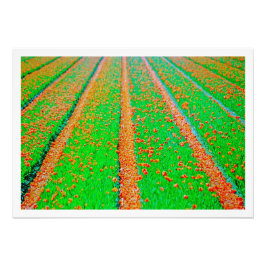 写真の拡大 フォトプリント