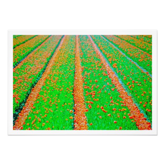 写真の拡大 フォトプリント            (正面)