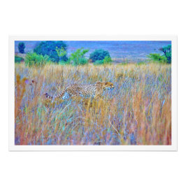 写真の拡大 フォトプリント           