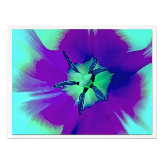 写真の拡大 フォトプリント            (正面)