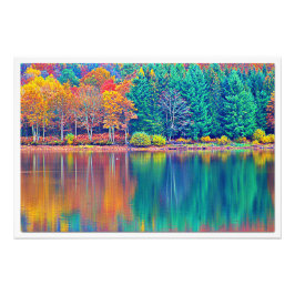 写真の拡大 フォトプリント           