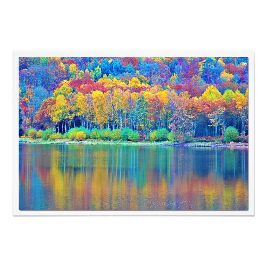 写真の拡大 フォトプリント            (正面)