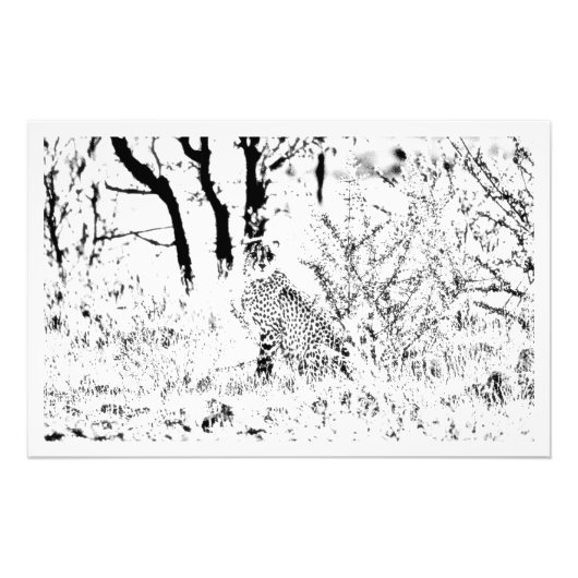 写真の拡大 フォトプリント            (正面)