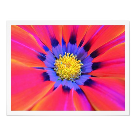 写真の拡大 フォトプリント            (正面)