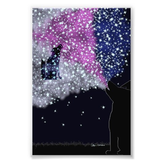 写真の拡大 フォトプリント            (正面)