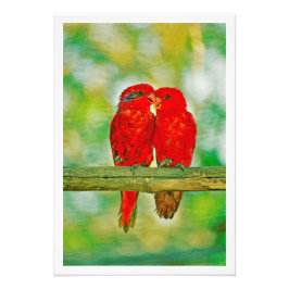 写真の拡大 フォトプリント           