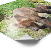 写真の拡大 フォトプリント            (角)