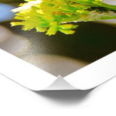 写真の拡大 フォトプリント            (角)