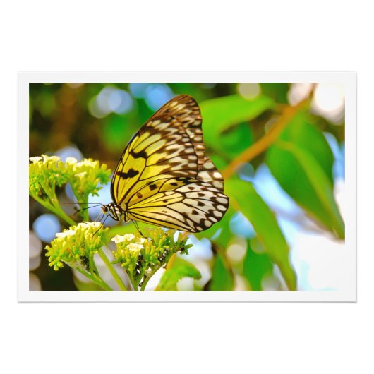 写真の拡大 フォトプリント            (正面)