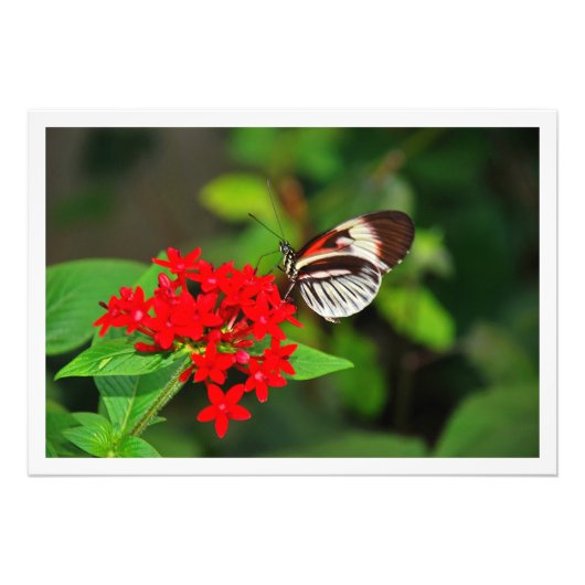 写真の拡大 フォトプリント            (正面)