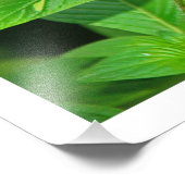 写真の拡大 フォトプリント            (角)