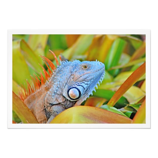 写真の拡大 フォトプリント            (正面)