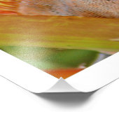 写真の拡大 フォトプリント            (角)