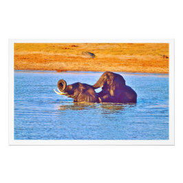 写真の拡大 フォトプリント           