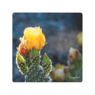 写真の拡大 メタルプリント