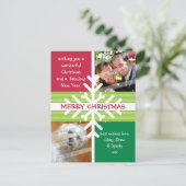 写真の挨拶の郵便はがき:: 雪片の解剖P1 シーズンポストカード (スタンド正面)