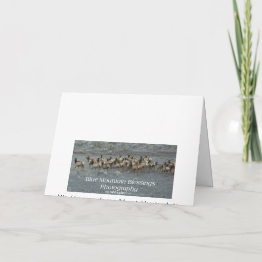 -写真の挨拶状を祝って下さい カード (裏面)