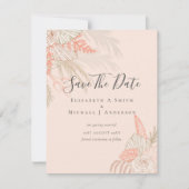 写真の救結果PAMPAS GRASS Terracota (正面)