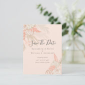 写真の救結果PAMPAS GRASS Terracota (スタンド正面)