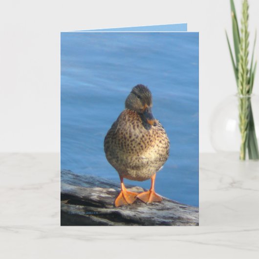 写真の日 カード (正面)