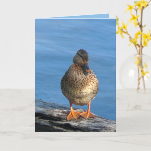 写真の日 カード (黄色い花)