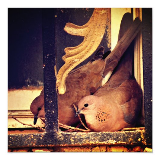 写真の準備プリント フォトプリント            (正面)