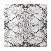 写真の演劇の樺の木