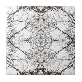 写真の演劇の樺の木 タイル