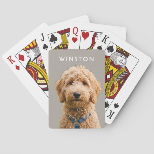 写真の犬の名前 - 説明文をお読みください トランプ (裏面)