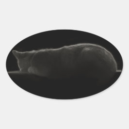 写真の眠れる猫 楕円形シール