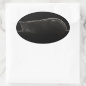 写真の眠れる猫 楕円形シール (バッグ)