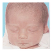 写真の立方体(4インチ) フォトキューブ (右)