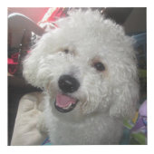 写真の立方体(4インチ) フォトキューブ (正面)