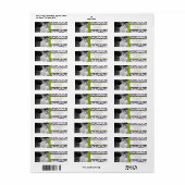 写真の結婚ヴィンテージApple Green Damask ラベル (フルシート)