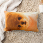 写真の腰神経の枕ギフト ランバークッション (ブランケット)